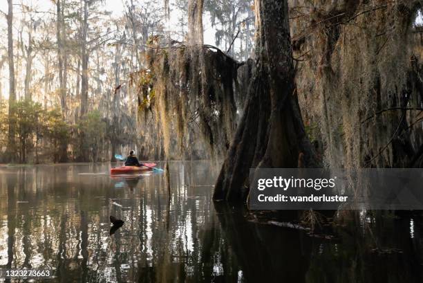 kajakfahren am lake martin, louisiana - louisiana stock-fotos und bilder