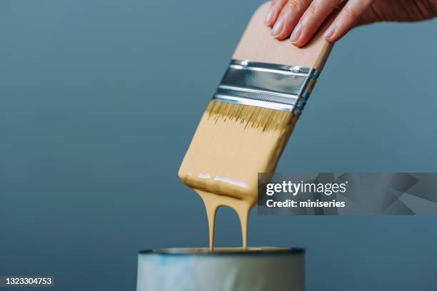 sluit omhoog van vrouw die de borstel in de gele verf onderdompelt - verfkwast stockfoto's en -beelden