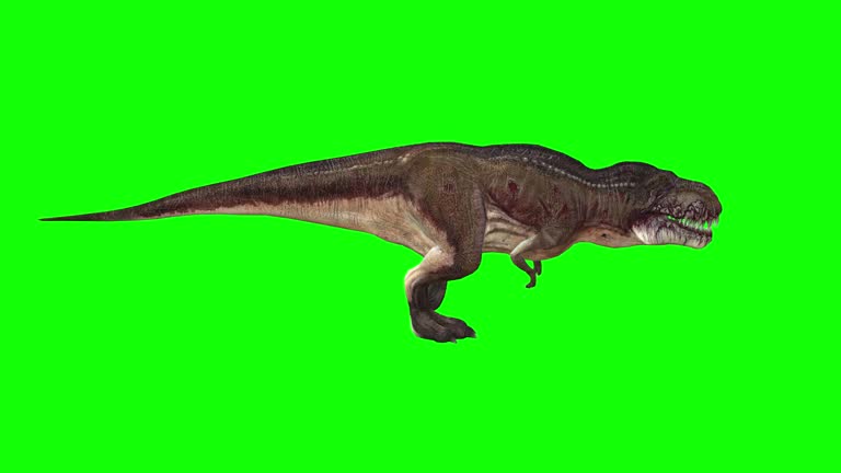 Dinosaurs Videos: Download 76+ Free 4K & HD Stock Footage Clips