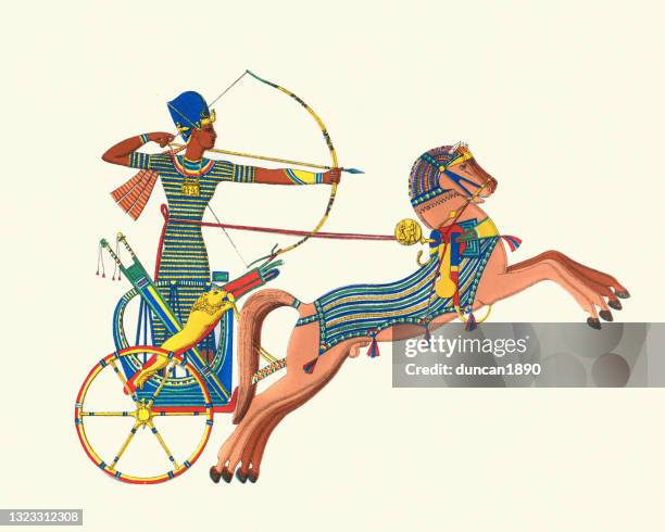 bildbanksillustrationer, clip art samt tecknat material och ikoner med forntida egyptisk vagnsskytt, krigföring i den antika världen - egypt