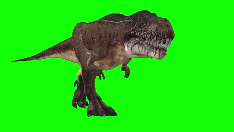 Dinosaurs Videos: Download 76+ Free 4K & HD Stock Footage Clips