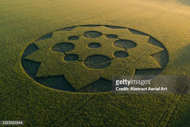 crop circle in a field photographed by drone at sunrise, england, united kingdom - kornkreis stock-fotos und bilder