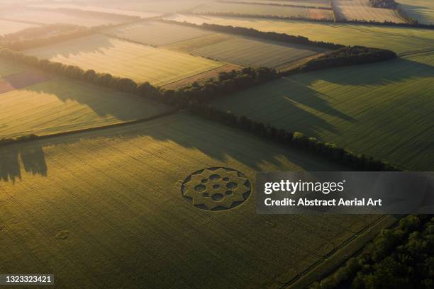crop circle in a rural setting photographed by drone at sunrise, england, united kingdom - círculo nas plantações - fotografias e filmes do acervo