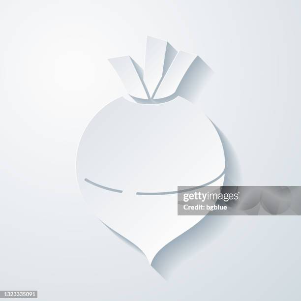 rutabaga. icon with paper cut effect on blank background - rutabaga stock illustrations