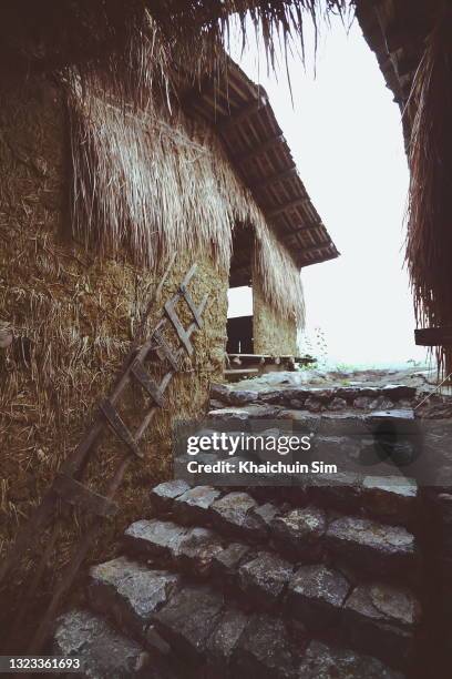 stairs beside a straw hut - grashut stockfoto's en -beelden