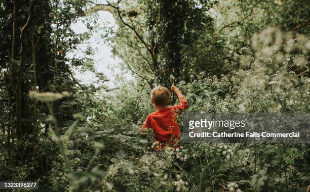 young boy makes his way through an overgrown forest - wide stock-fotos und bilder