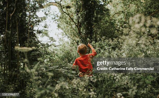 young boy makes his way through an overgrown forest - ethereal 個照片及圖片檔