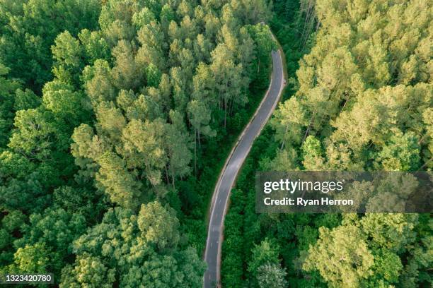 antenne van lopend, lopend, en fietspad in bos - north carolina staat stockfoto's en -beelden