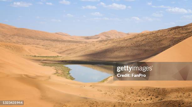 oasis in the desert - desert oasis stock pictures, royalty-free photos & images