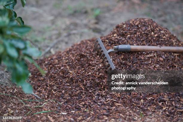 mulching with pinus sylvestris - mulch stock pictures, royalty-free photos & images