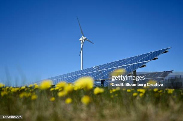 wind turbine and solar panels - solkraftverk bildbanksfoton och bilder