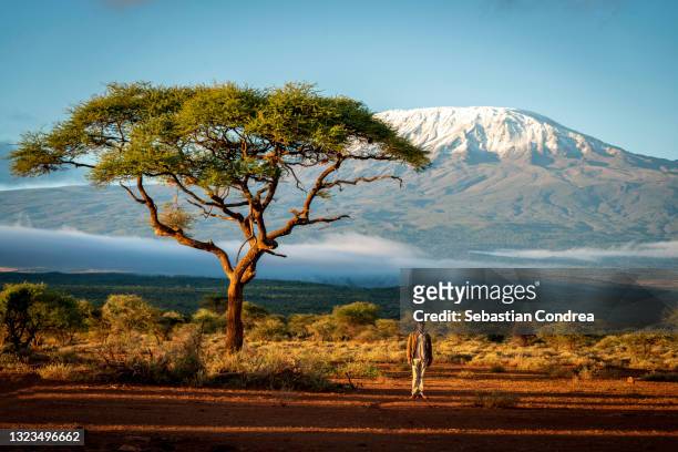 good tourist guide, safari in mount kilimanjaro, kenya, africa.  in summer travel. - berg kilimandscharo stock-fotos und bilder