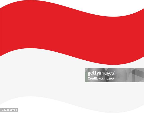 stockillustraties, clipart, cartoons en iconen met monaco die vlag golft - monaco