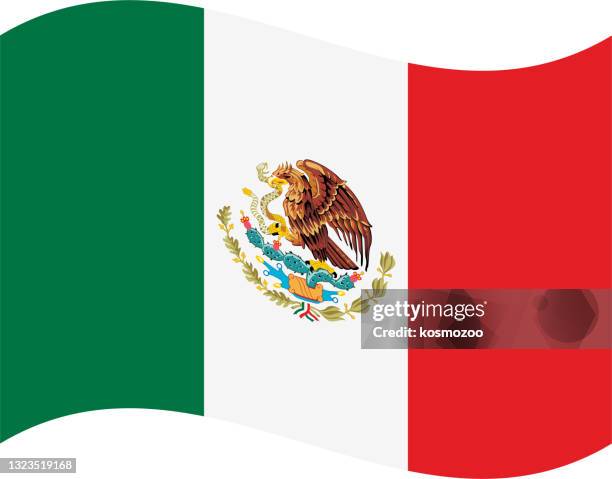 mexico waving flag - mexico flag stock illustrations