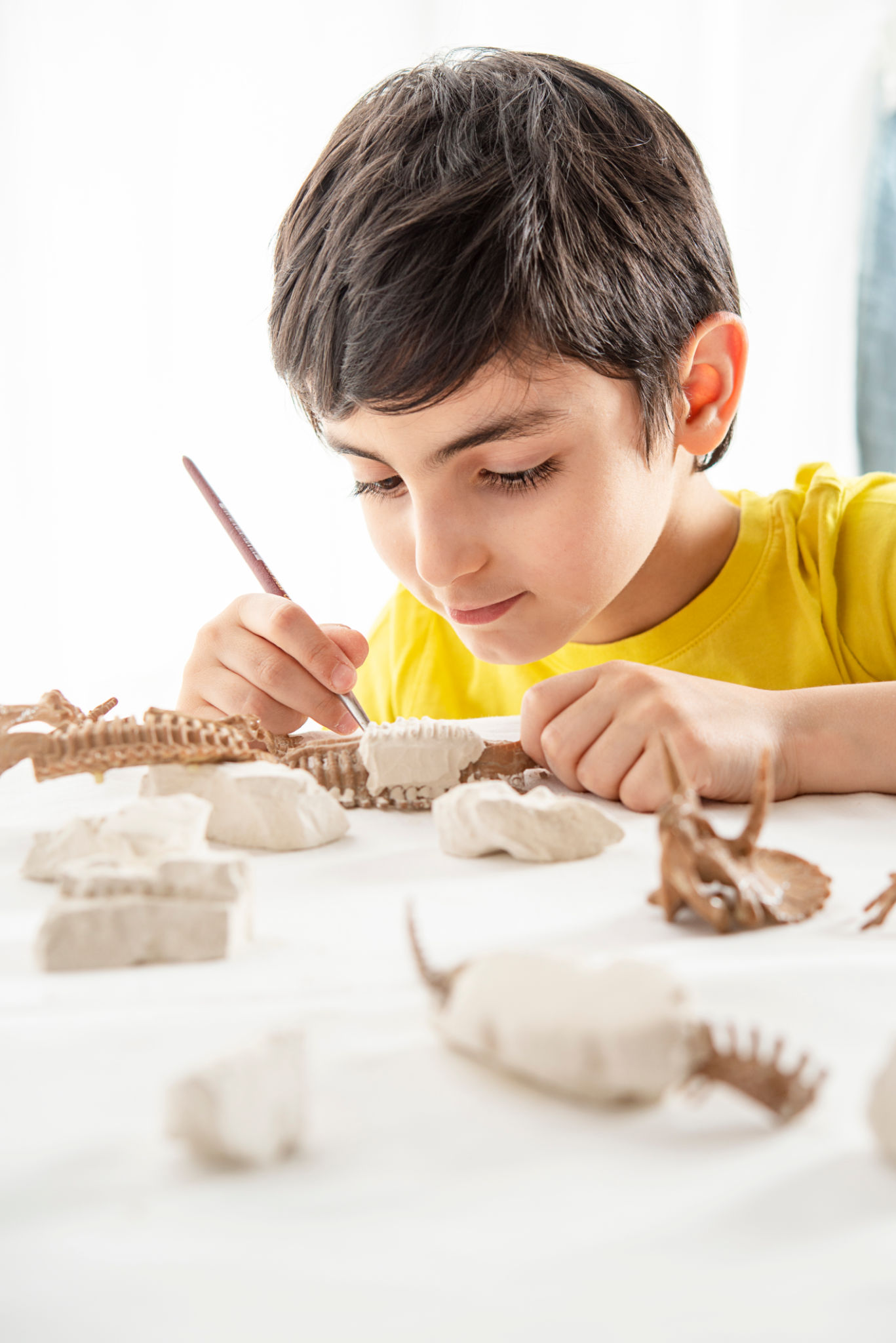 kids digging fossils