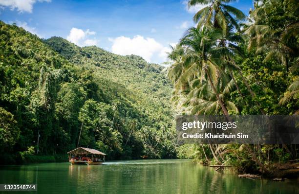 loboc tour boat cruising on a river and rainforest - bohol imagens e fotografias de stock