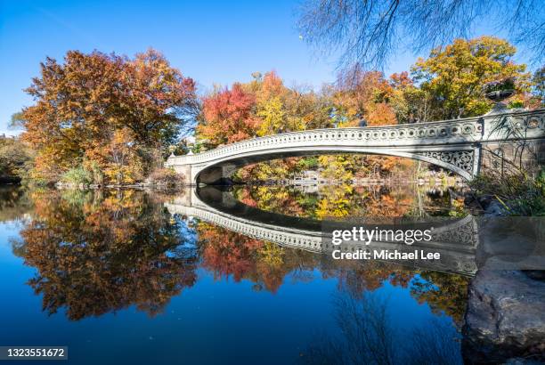 fall foliage and bow bridge in new york's central park - new york basks in sunny indian summer day stock-fotos und bilder