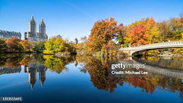 fall foliage and bow bridge in new york's central park - central park stockfoto's en -beelden