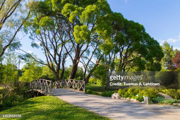 bridge and lush trees and foliage at the hatanpää arboretum public park in tampere, finland, on a sunny day in the summer. - tampere finland stock pictures, royalty-free photos & images