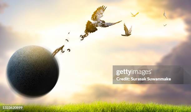 flying birds and broken chains - freedom birds with nature on sunset background, concept of hope. - god is love stock pictures, royalty-free photos & images