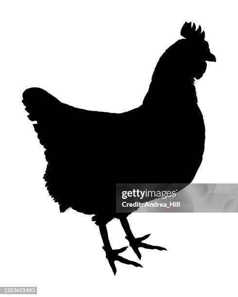 stockillustraties, clipart, cartoons en iconen met chicken silhouette, vector eps10 illustration - kip