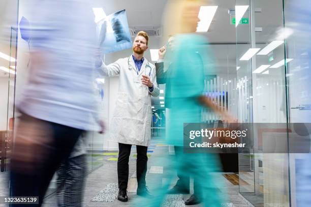 young doctor and businessman analyzing x-ray image in the hospital. - covid 2019 stock pictures, royalty-free photos & images