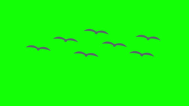 673 Flying Bird Animation Videos and HD Footage - Getty Images 673 Flying Bird Animation Videos and HD Footage - Getty Images