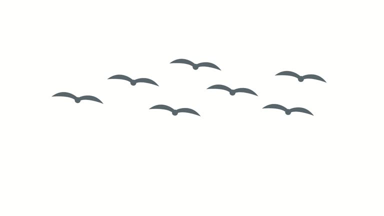 673 Flying Bird Animation Videos and HD Footage - Getty Images 673 Flying Bird Animation Videos and HD Footage - Getty Images