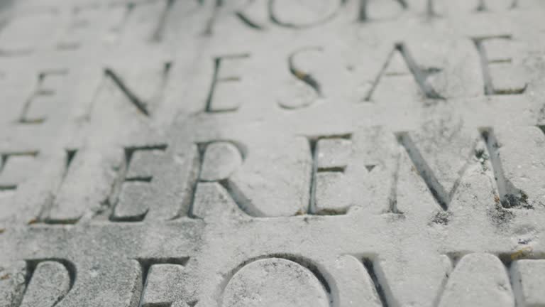 67 Ancient Rome Engraving Stock Videos, Footage, & 4K Video Clips ...