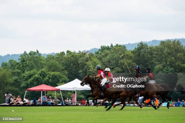polo-match. spieler, die um den ball konkurrieren. - reitsport-veranstaltung stock-fotos und bilder