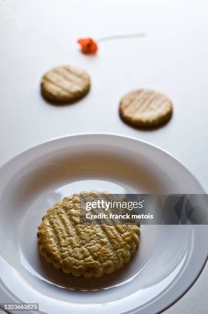 broyé du poitou ( france) - poitou charentes imagens e fotografias de stock