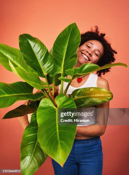 shot of a woman holding a pot plant against a studio background - flower pot stockfoto's en -beelden