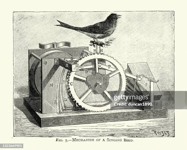 ilustraciones, imágenes clip art, dibujos animados e iconos de stock de mecanismo de un pájaro el cantar mecánico, 19mo siglo - music box