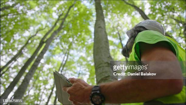écologiste sur le terrain. forester examine les arbres dans leur état naturel dans la forêt et préleve des échantillons pour des recherches approfondies. soins et durabilité des écosystèmes. - green wood photos et images de collection