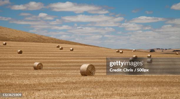 scenic view of field against sky,south australia,australia - country town australia stock pictures, royalty-free photos & images