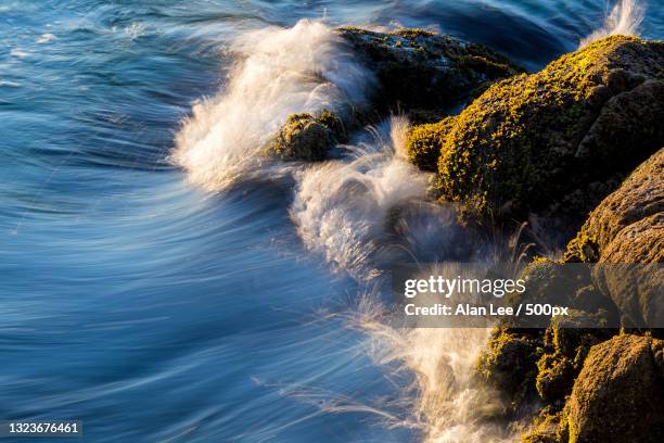 high angle view of waves splashing on rocks,tauranga,bay of plenty,new zealand - tauranga stock pictures, royalty-free photos & images