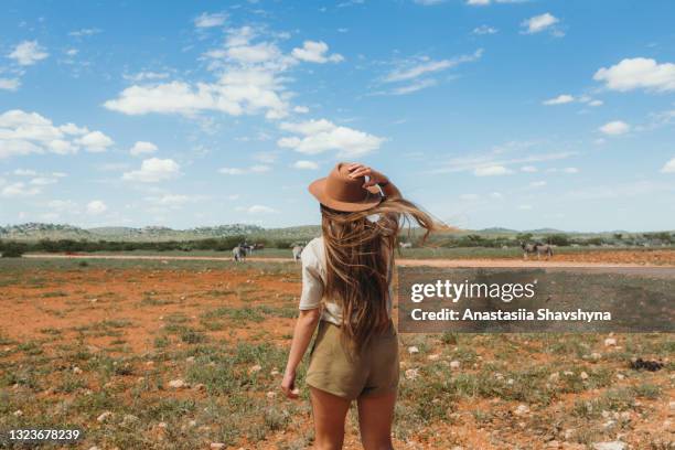 joven exploradora haciendo un viaje de safari mirando cebra en el parque nacional de etosha, namibia - safari fotografías e imágenes de stock