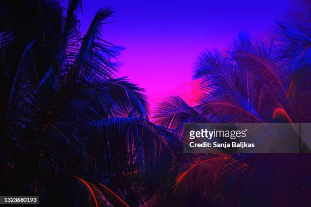 palm tree neon - summer lights stockfoto's en -beelden