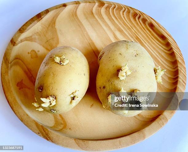 sprounted potatoes - potato buds stock pictures, royalty-free photos & images