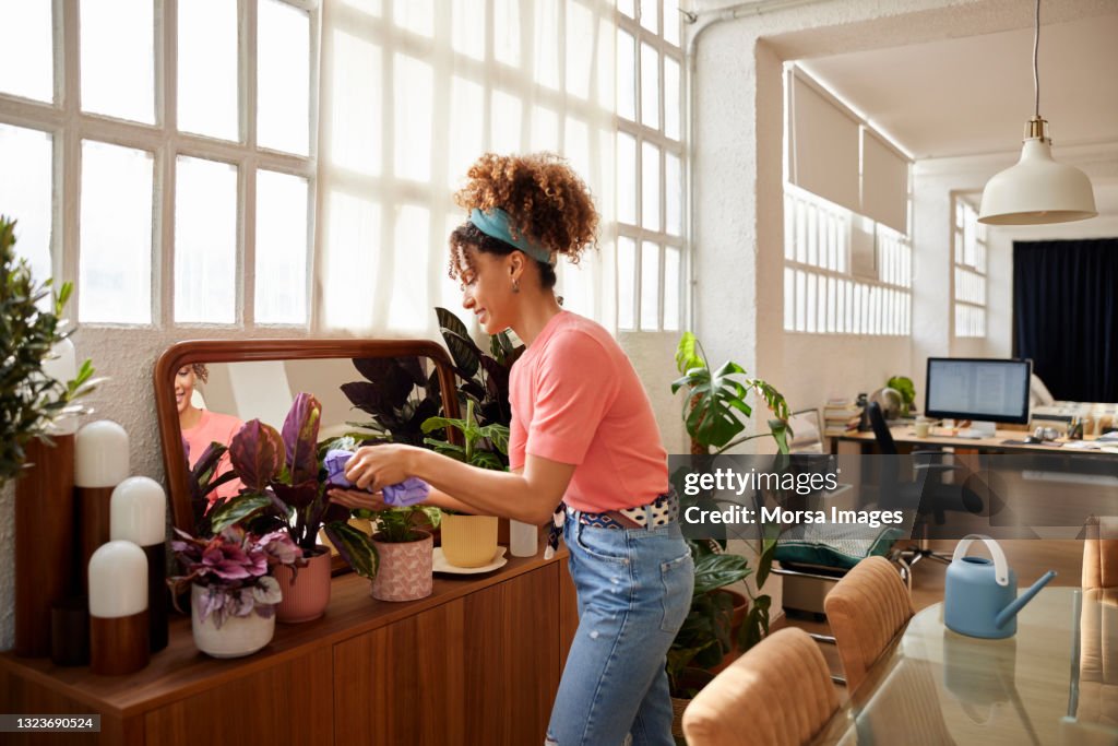 Woman Cleaning Leaves Of Plotted Plants At Home