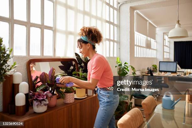 woman cleaning leaves of plotted plants at home - propre photos et images de collection