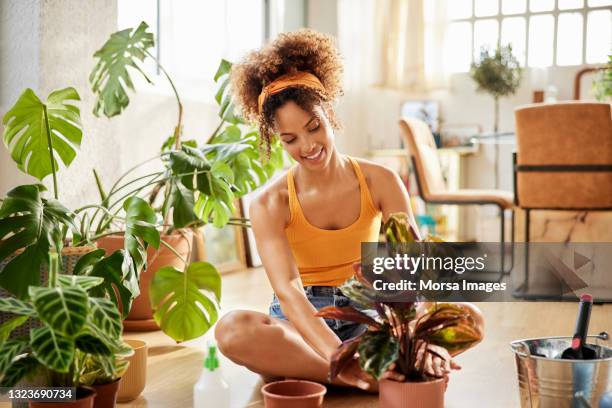 woman with curly hair planting in living room - women happy photos et images de collection