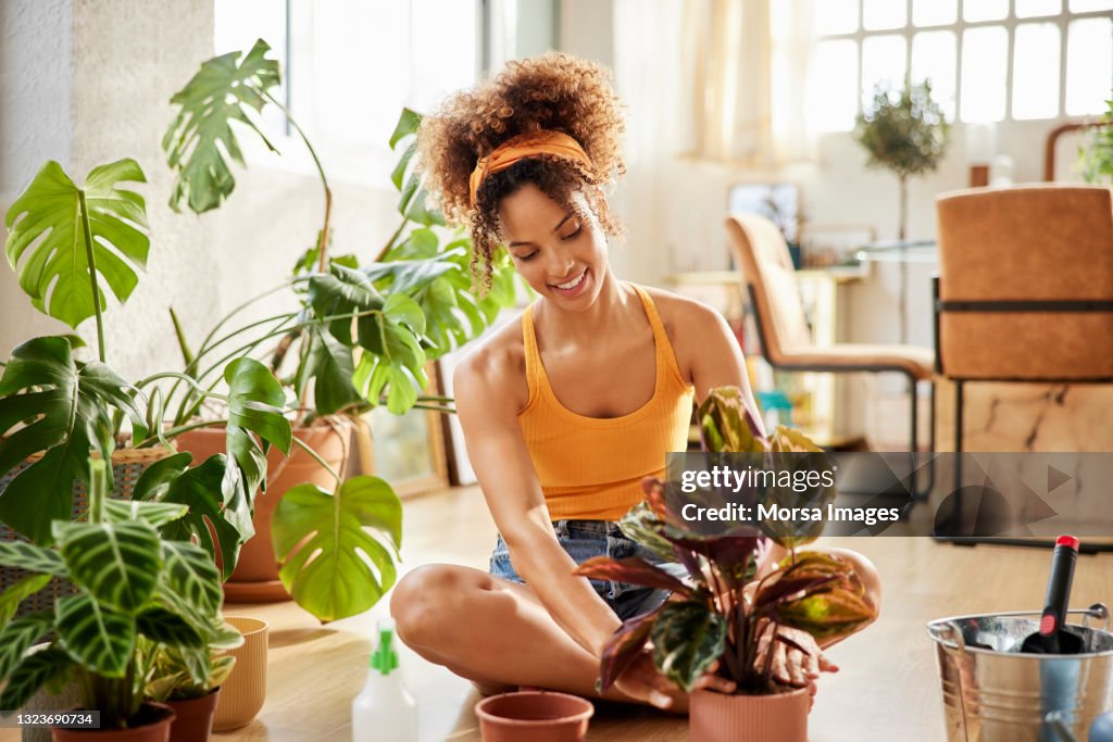 Woman With Curly Hair Planting In Living Room