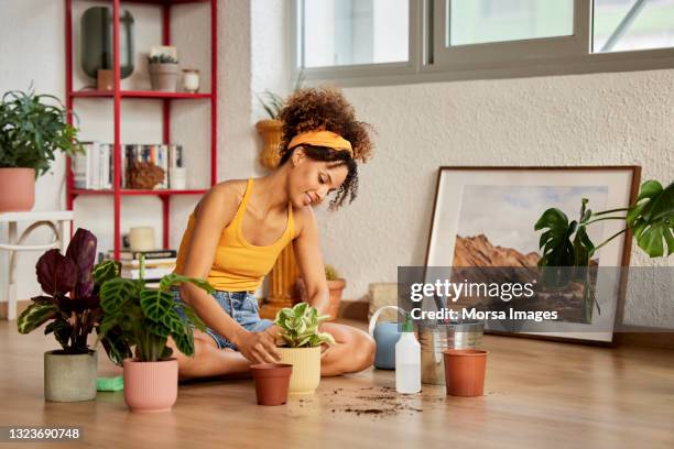 woman with curly hair gardening in living room - watering plants stock-fotos und bilder