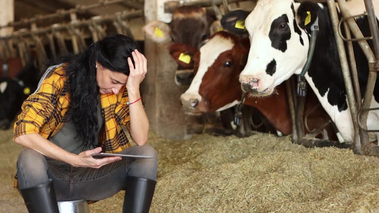 3,906 Women Doing Farm Animals Videos and HD Footage - Getty Images 3,906 Women Doing Farm Animals Videos and HD Footage - Getty Images