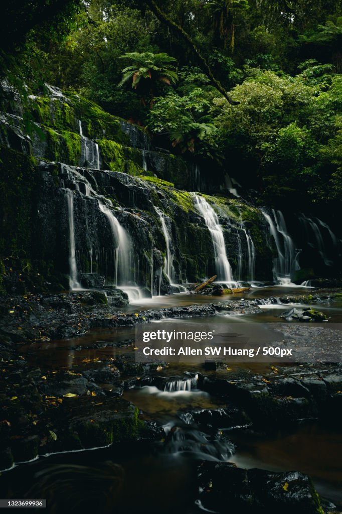 Scenic view of waterfall in forest,Purakaunui Falls,Otago,New Zealand