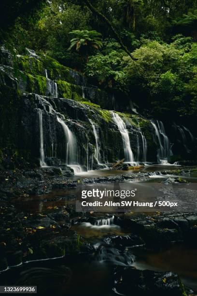 scenic view of waterfall in forest,purakaunui falls,otago,new zealand - allen sw huang stock pictures, royalty-free photos & images
