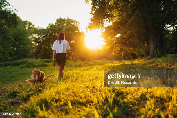 chasing the sunset together - walking the dog stock pictures, royalty-free photos & images