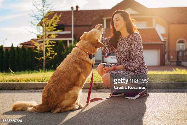 who is the good girl? - dog biscuit stock pictures, royalty-free photos & images