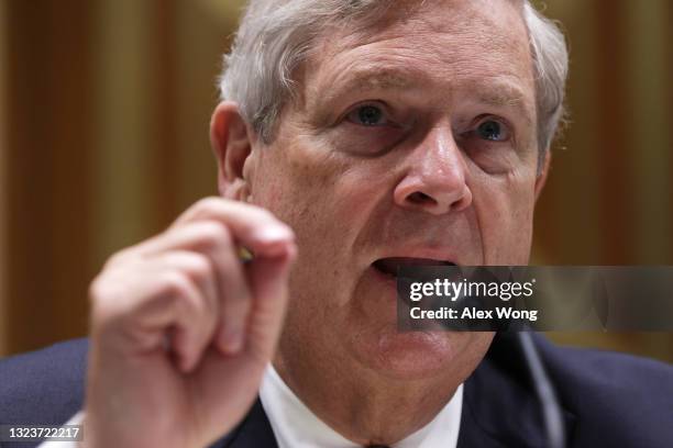 Secretary of Agriculture Tom Vilsack testifies during a hearing before the Subcommittee on Agriculture, Rural Development, Food and Drug...